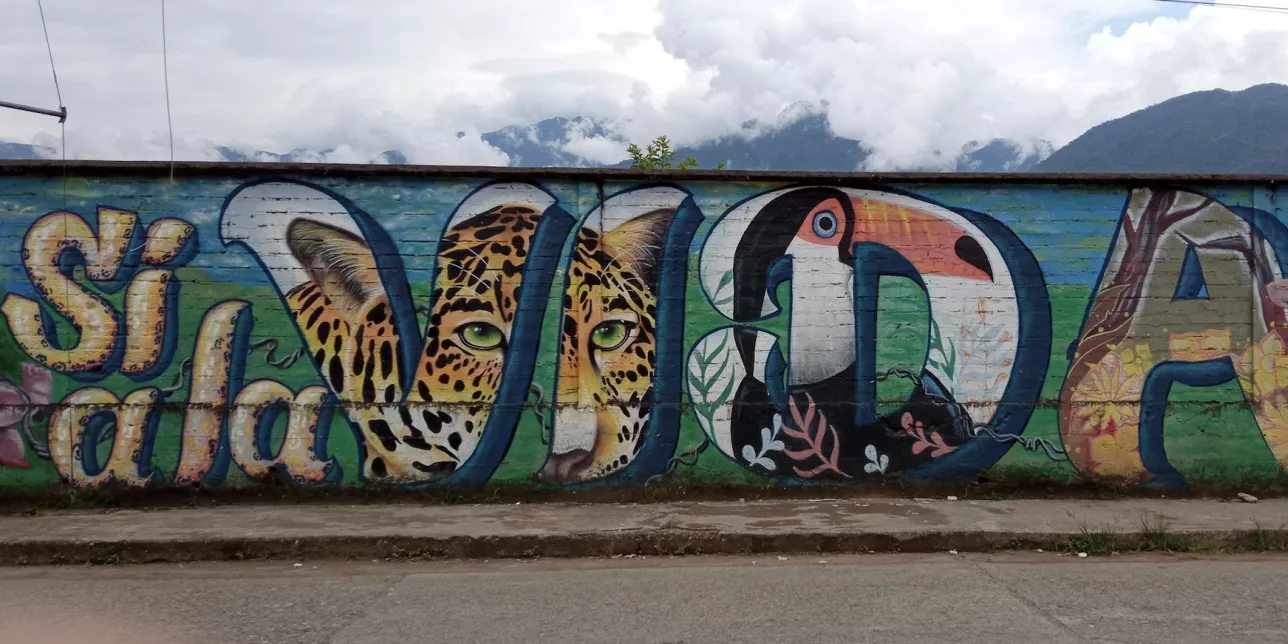 A mural in front of the rainforest. Photo: Juan Samper.