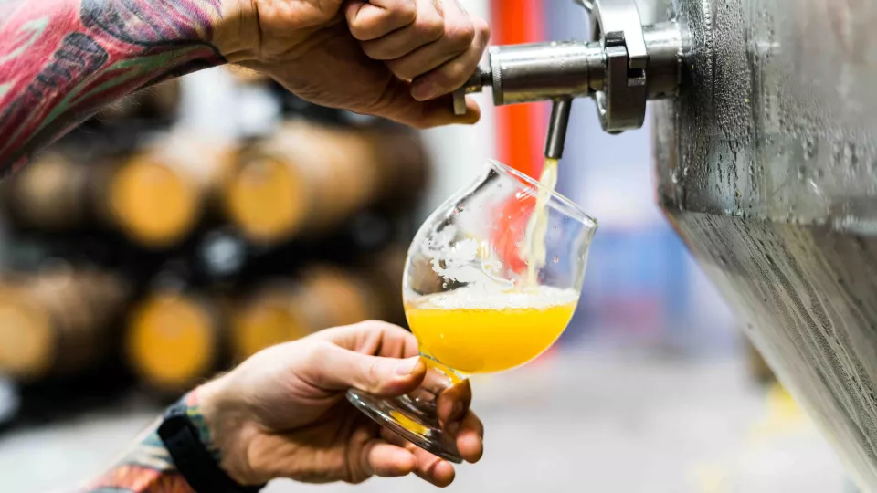 Craft beer poured into a glass. Photo: Unsplash.
