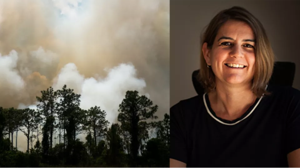 A burning forest and Director Emily Boyd. A split image. Photo: Unsplash and Peter Frodin.