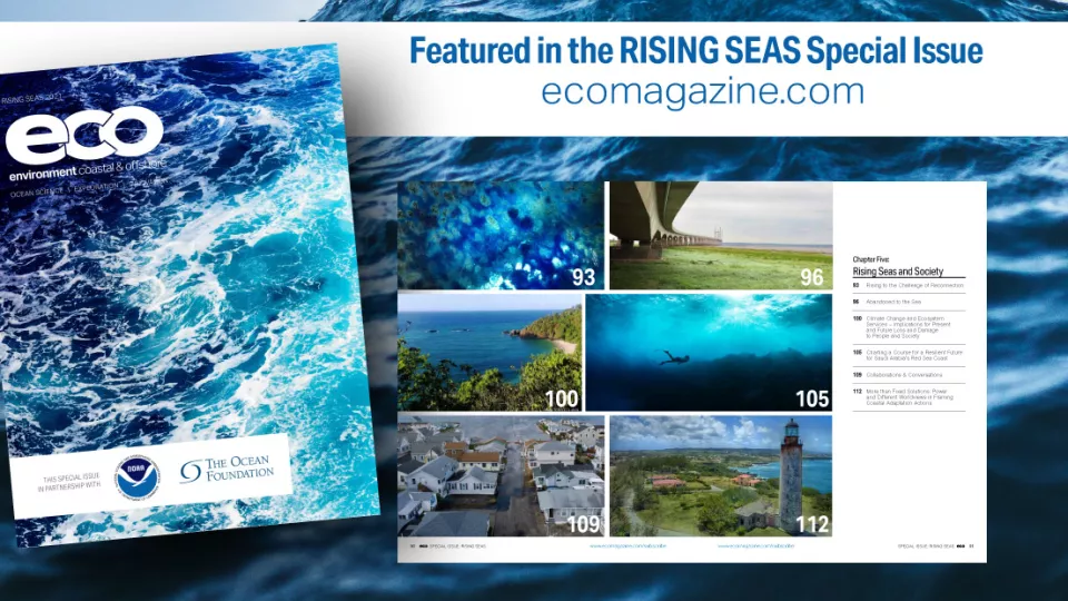 cover of Ecomagazine special issue on Rising seas. Photo collage 