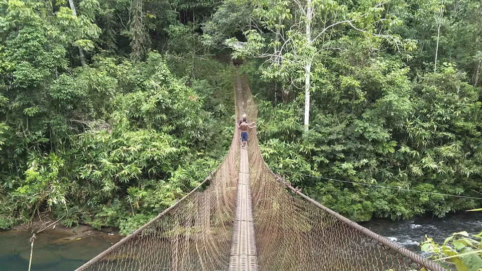 Members of the Bedamuni People of Western Province, Papua New Guinea, standing on a bridge. Photo. 