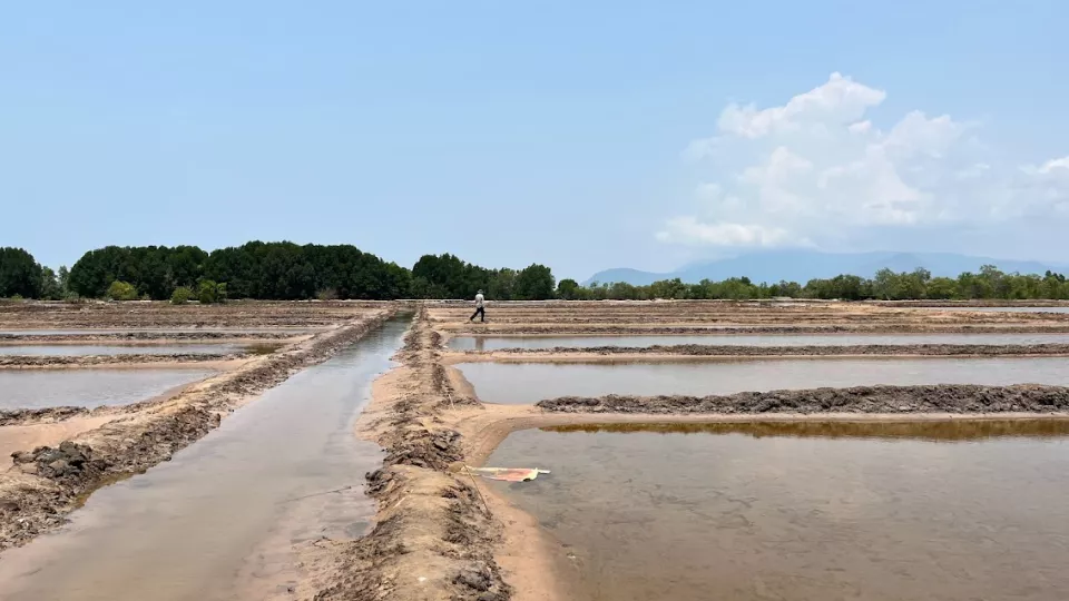 Salt fields pictured in Cambodia. Photo.