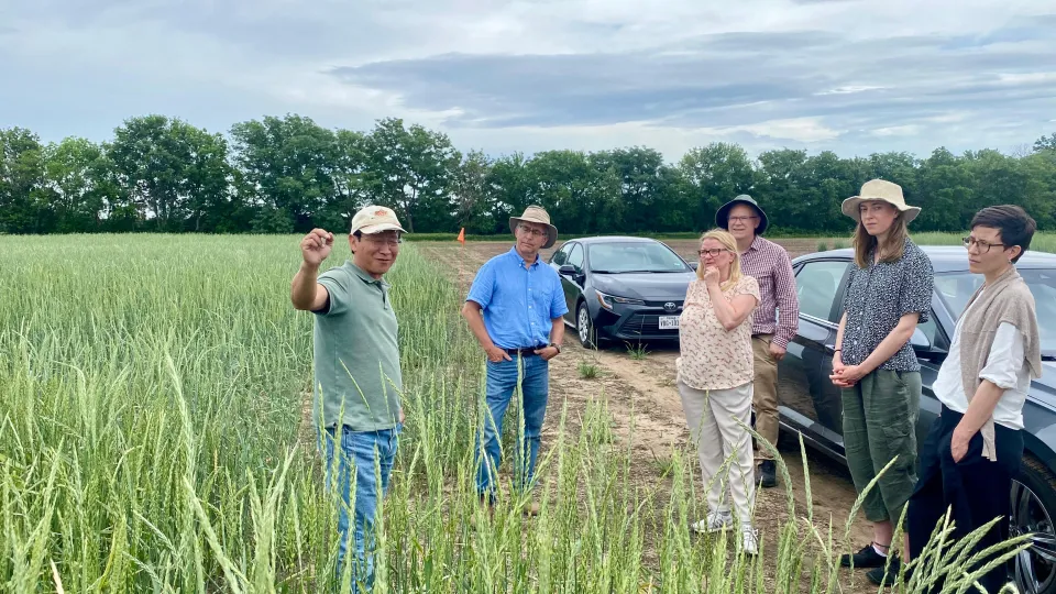 people standing on a field. Photo