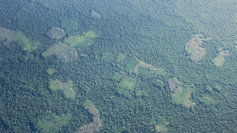 Recent patches of deforestation in parts of the Amazonas rainforest. Photo: Torsten Krause.