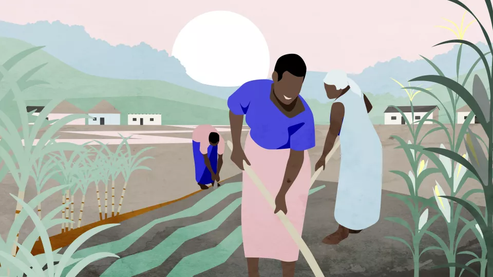 Woman in a field in Africa for LUCSUS land use theme. Illustration: Catrin Jakobsson.