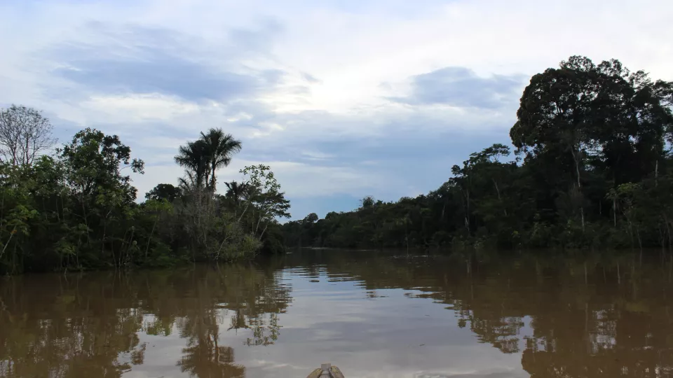 Loretoyacu River in Colombia in March 2019. Photo:Torsten Krause.