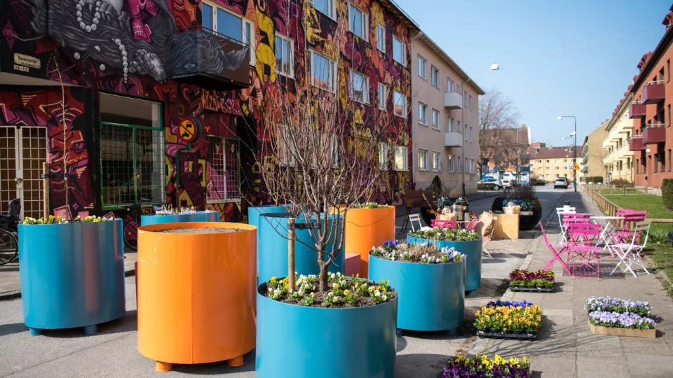 Coloured flower pots on a street. Photo.