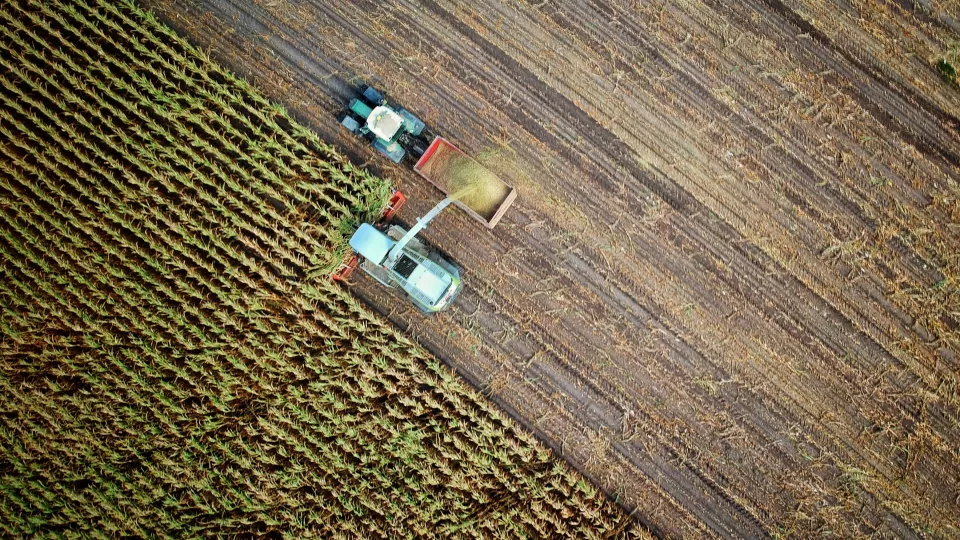 Harvesting of agricultural field. Photo: Unsplash.