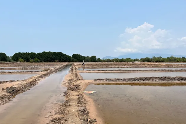 Salt fields pictured in Cambodia. Photo.