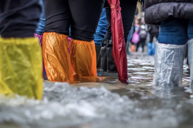 An image of people standing in water, seen from behind. Photo.