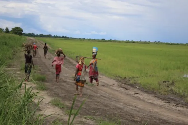 Women carrying water on a road in Africa. Photo: Emma Johansson.