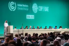 Formal Opening of the UN Climate Change Conference, COP28, on November 30, 2023, in Dubai, UAE. Photo.