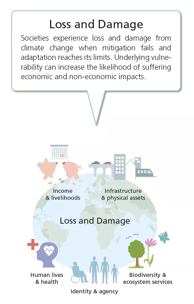 Loss and damage infographic. Illustration: Frida Nilsson.