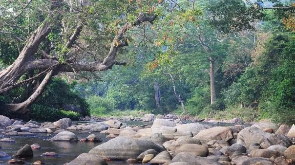 The river that runs through Serupitiya village, Nuwara Eliya district, Sri Lanka. Photo: S