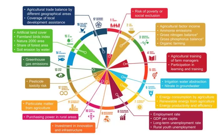 An illustration of the SDG:s and how they relate to the common agricultural policy, 2020, from a research article by Scown and Nicholas.